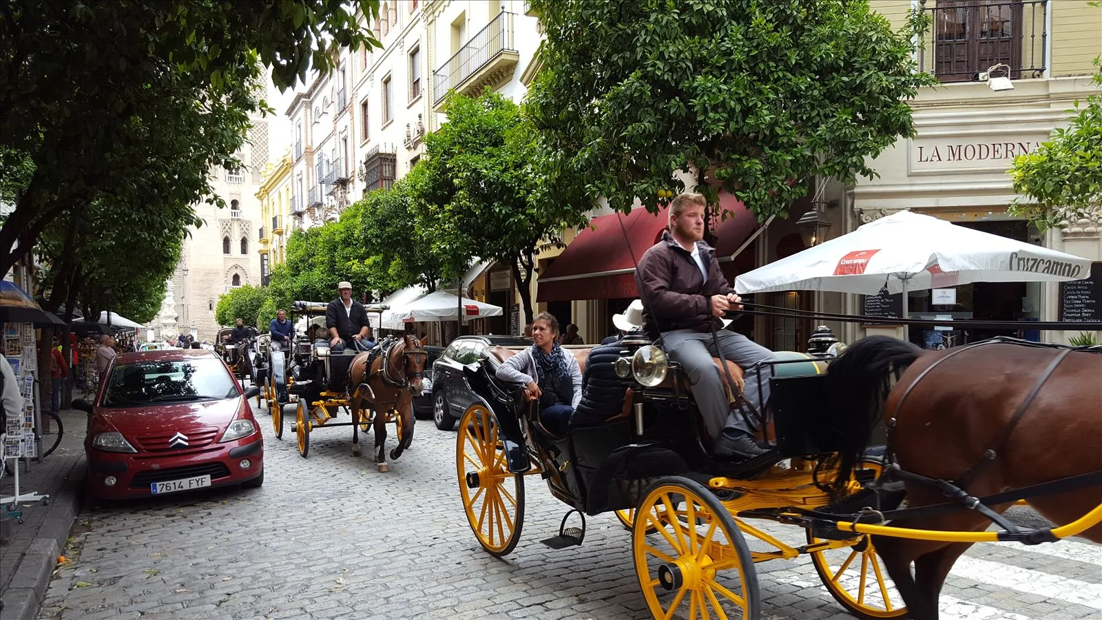 Horse carriage on street in Seville