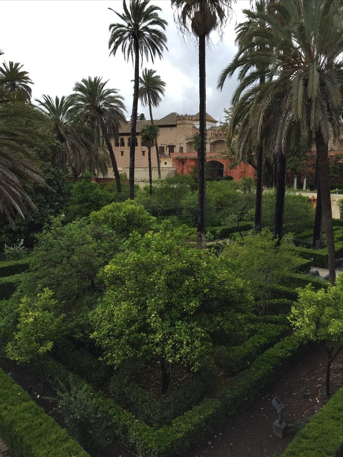 Trimmed bushes in Alcázar gardens