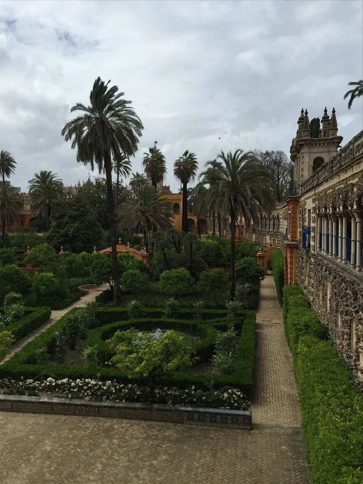 Alley in Alcázar gardens of Seville