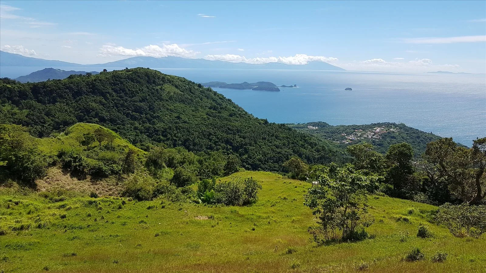Зелёные холмы острова Лусон