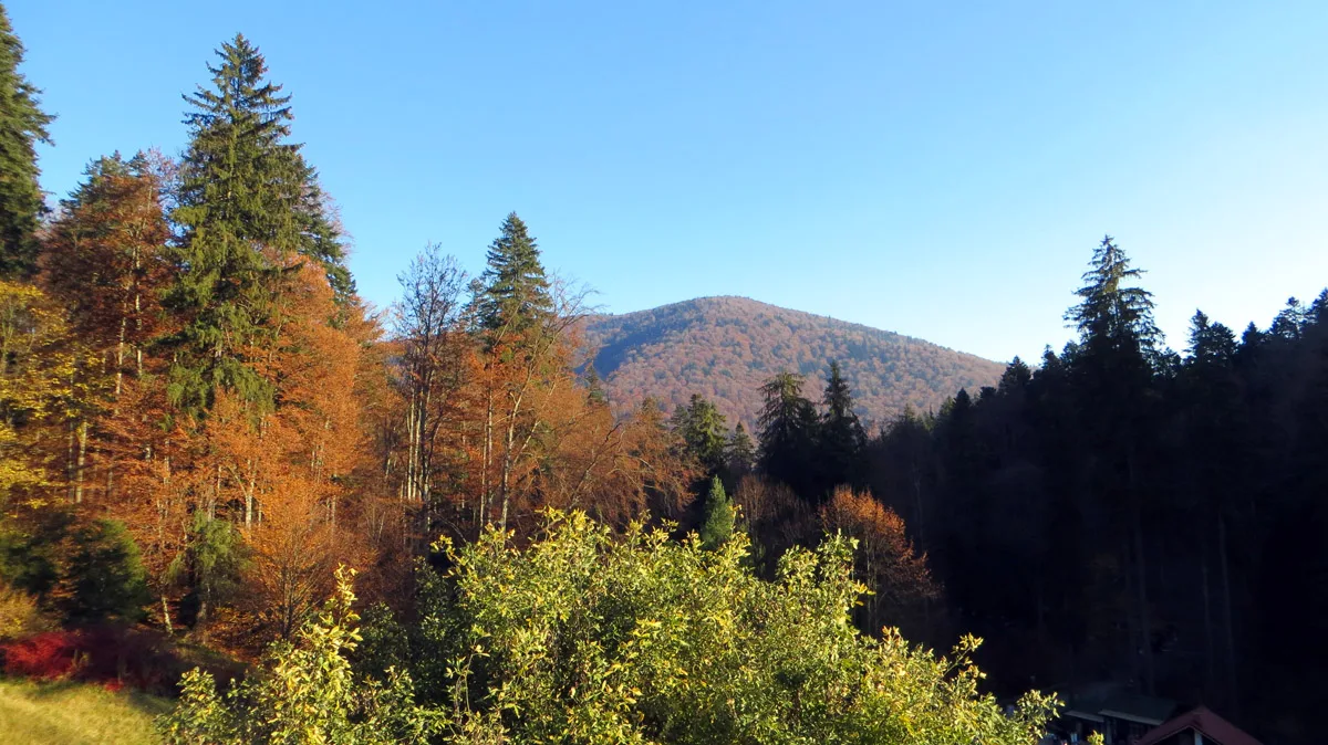 Осенний лес и горы в Синае, Румыния