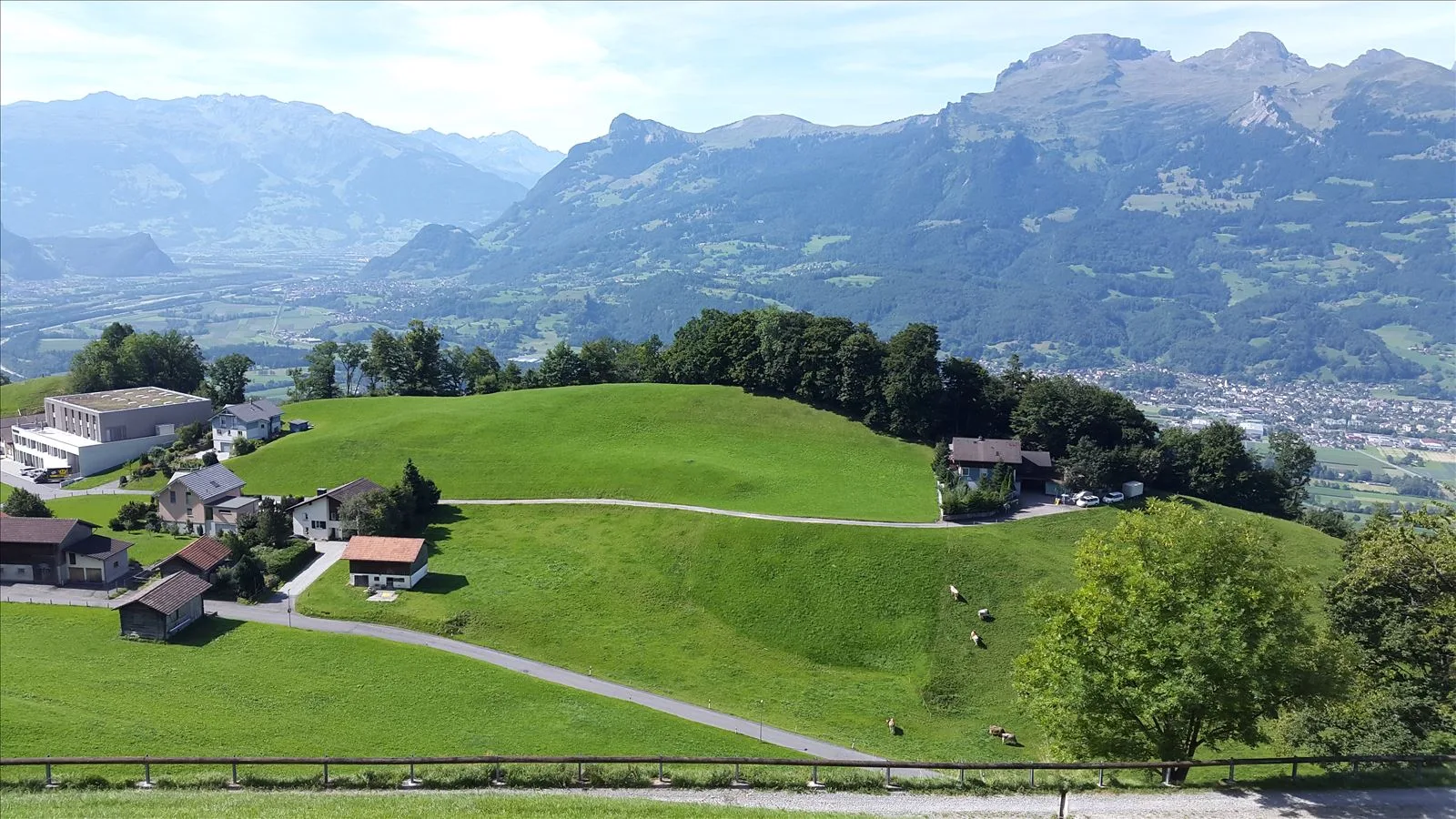 Vineyards on slope in Liechtenstein