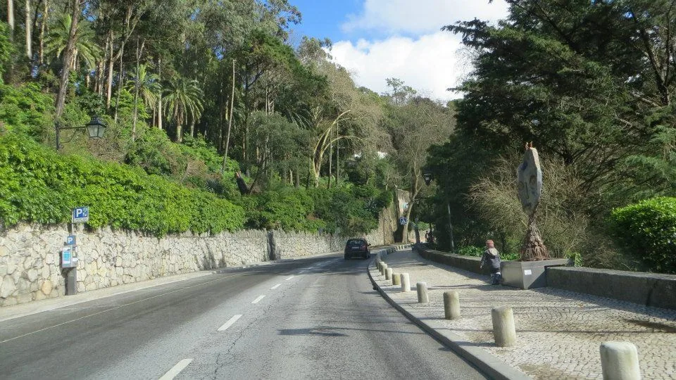 Road through tropical greenery in Sintra