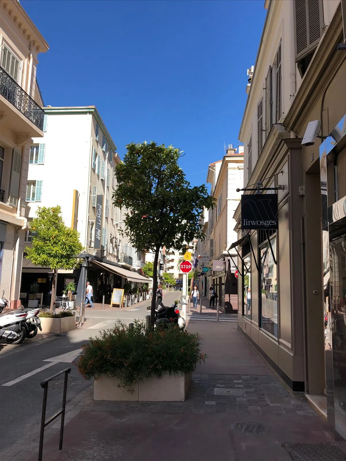 Street in downtown Cannes