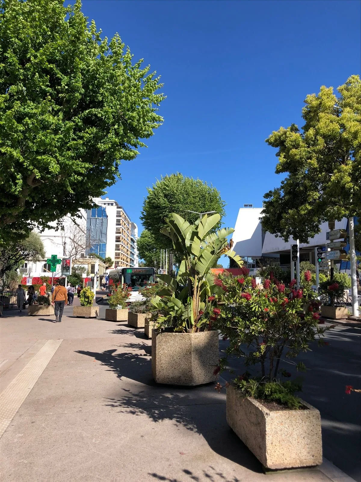 Boulevard de la Croisette in Cannes