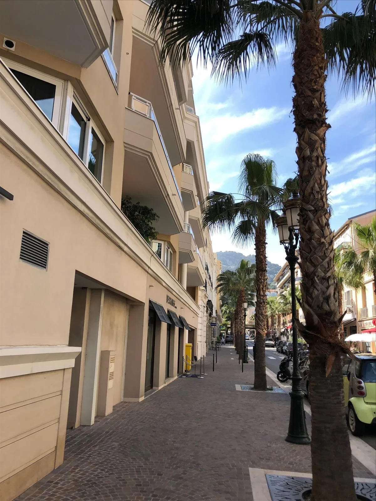 Street with palm trees in Boulieu-sur-Mer