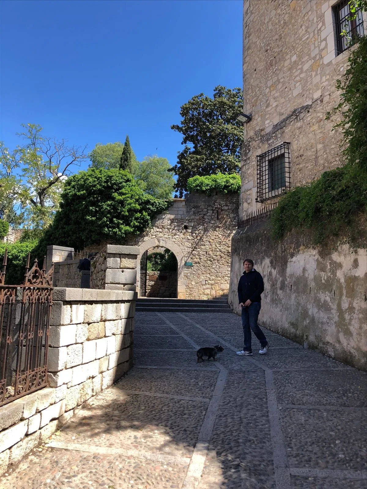 Quiet street of old Girona with trees