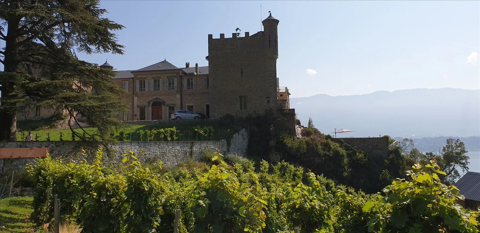 Chateau de Bourdeau 🏰 🍇