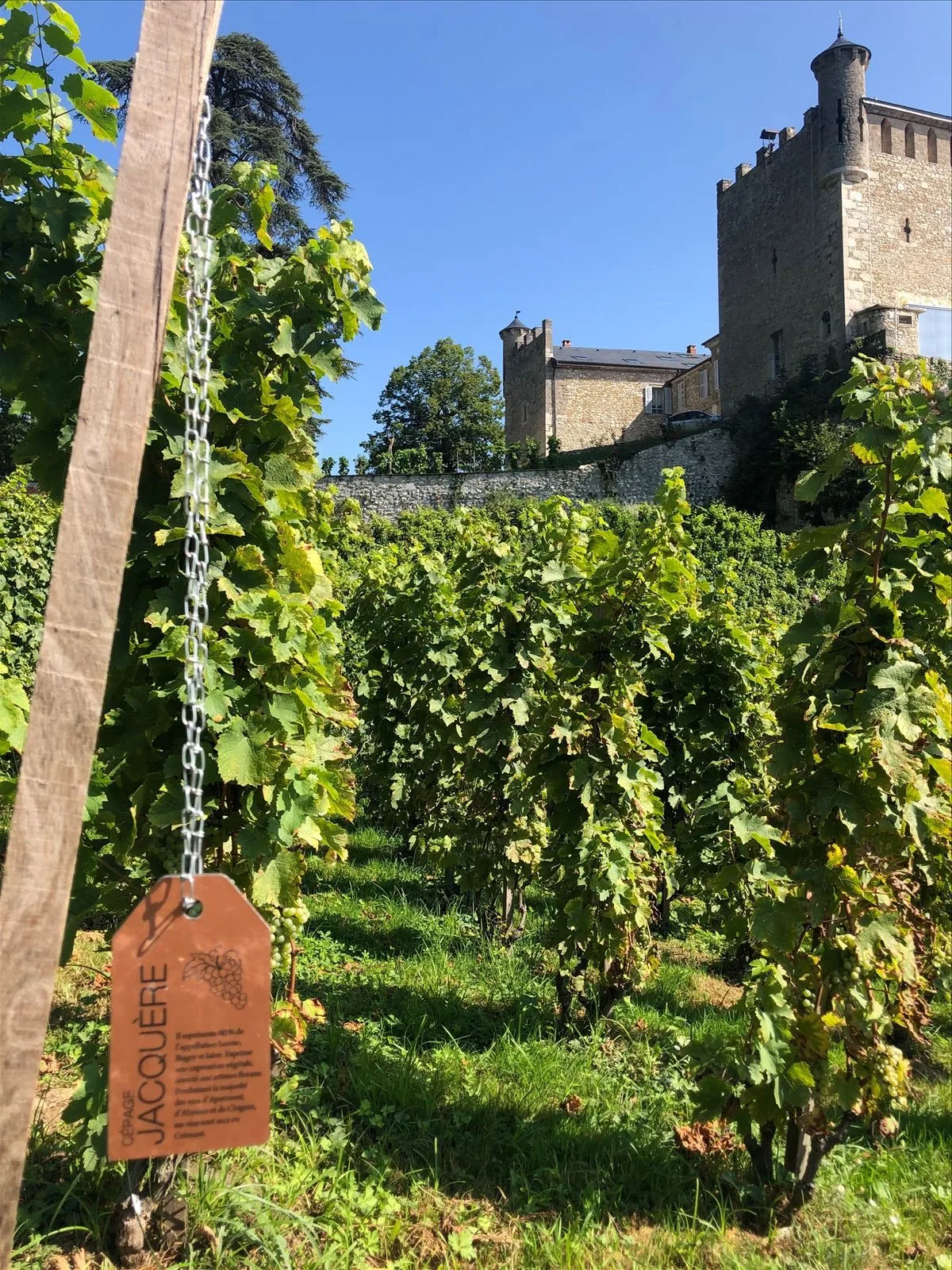 Chateau de Bourdeau29
