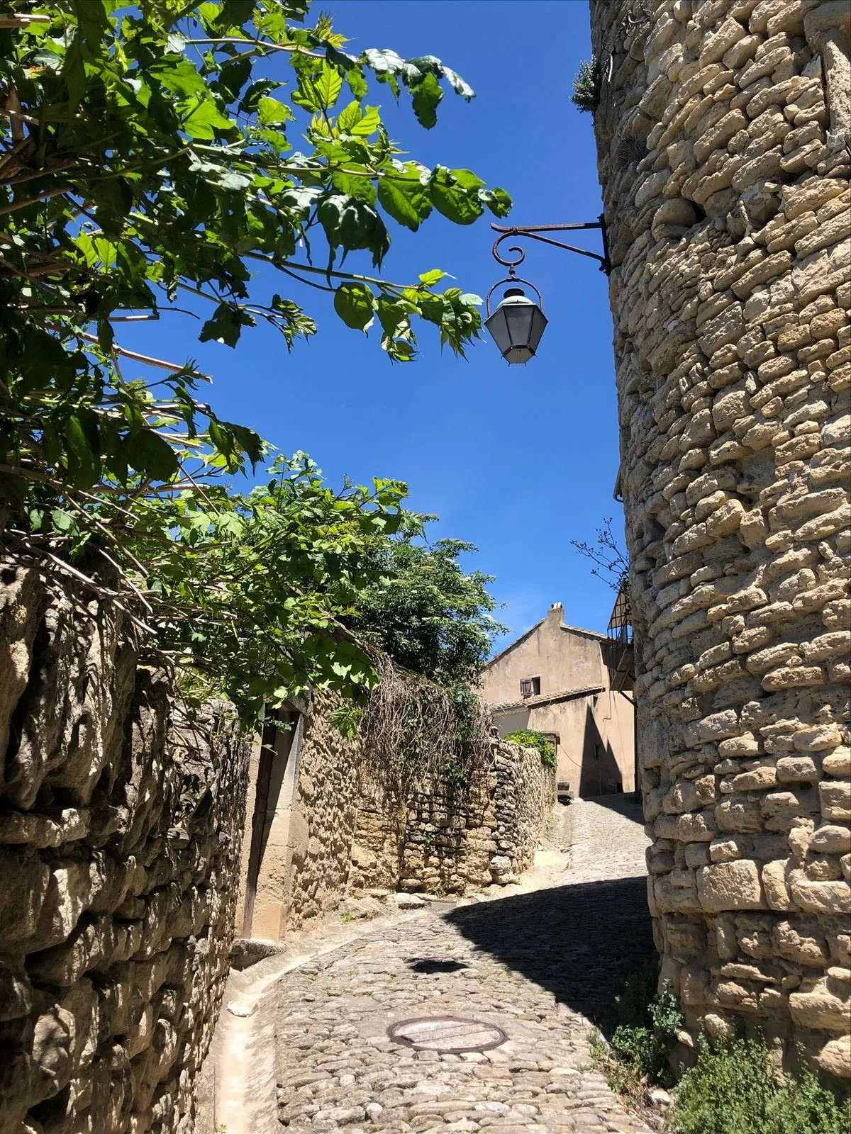 Plane tree alley in Mazan village