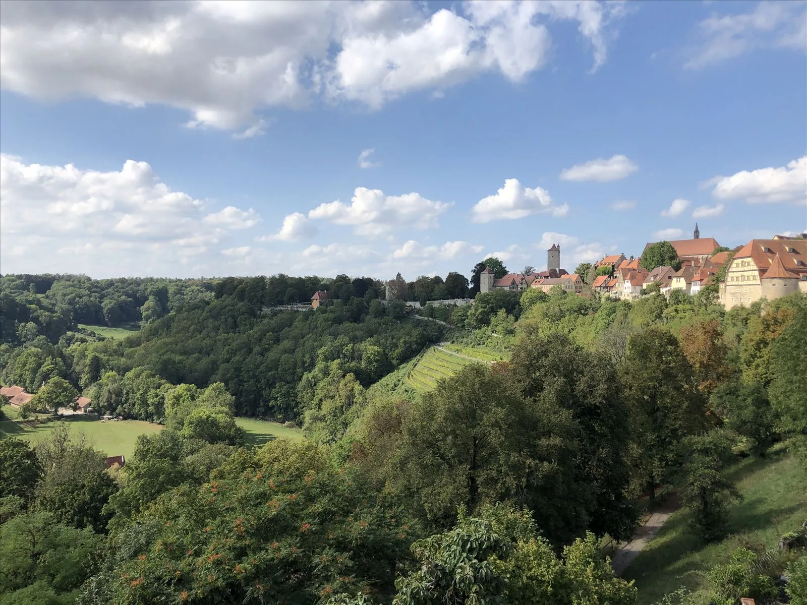 Панорама долины реки Таубер с башней