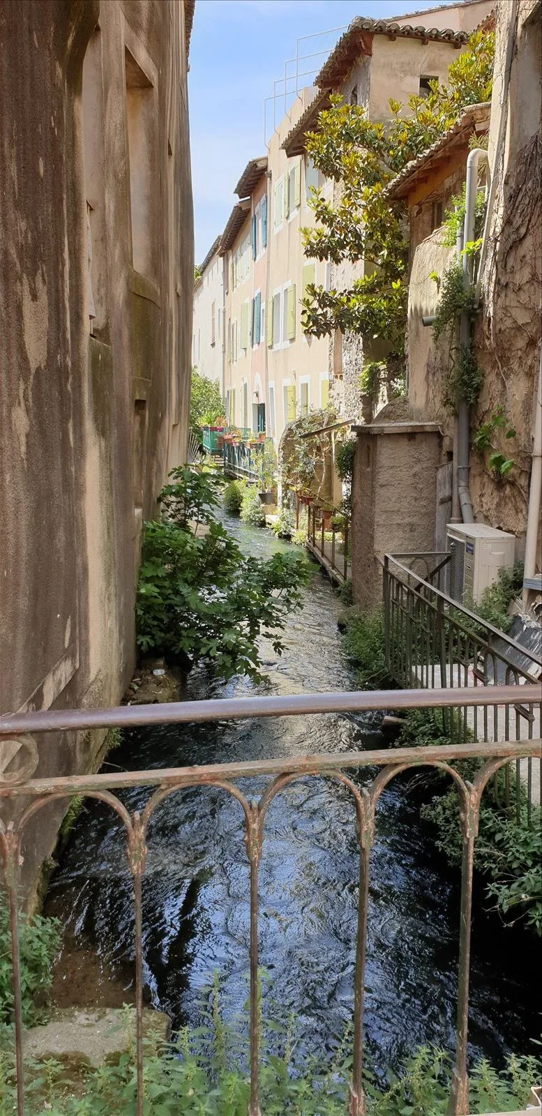 Greenish waters of Sorgue