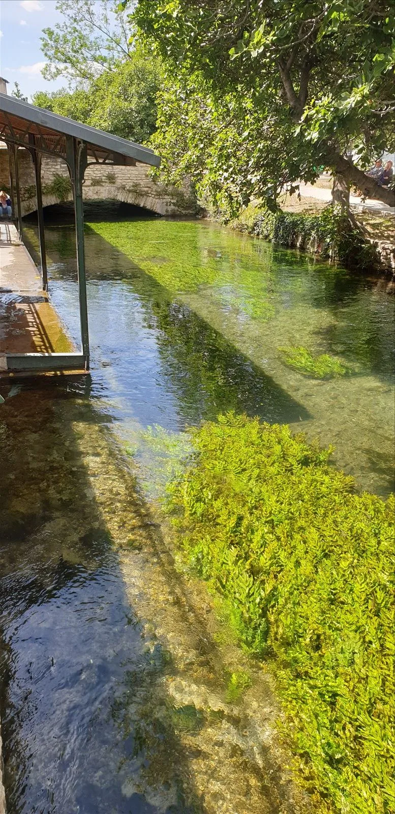 Ancient water wheel on the Sorgue