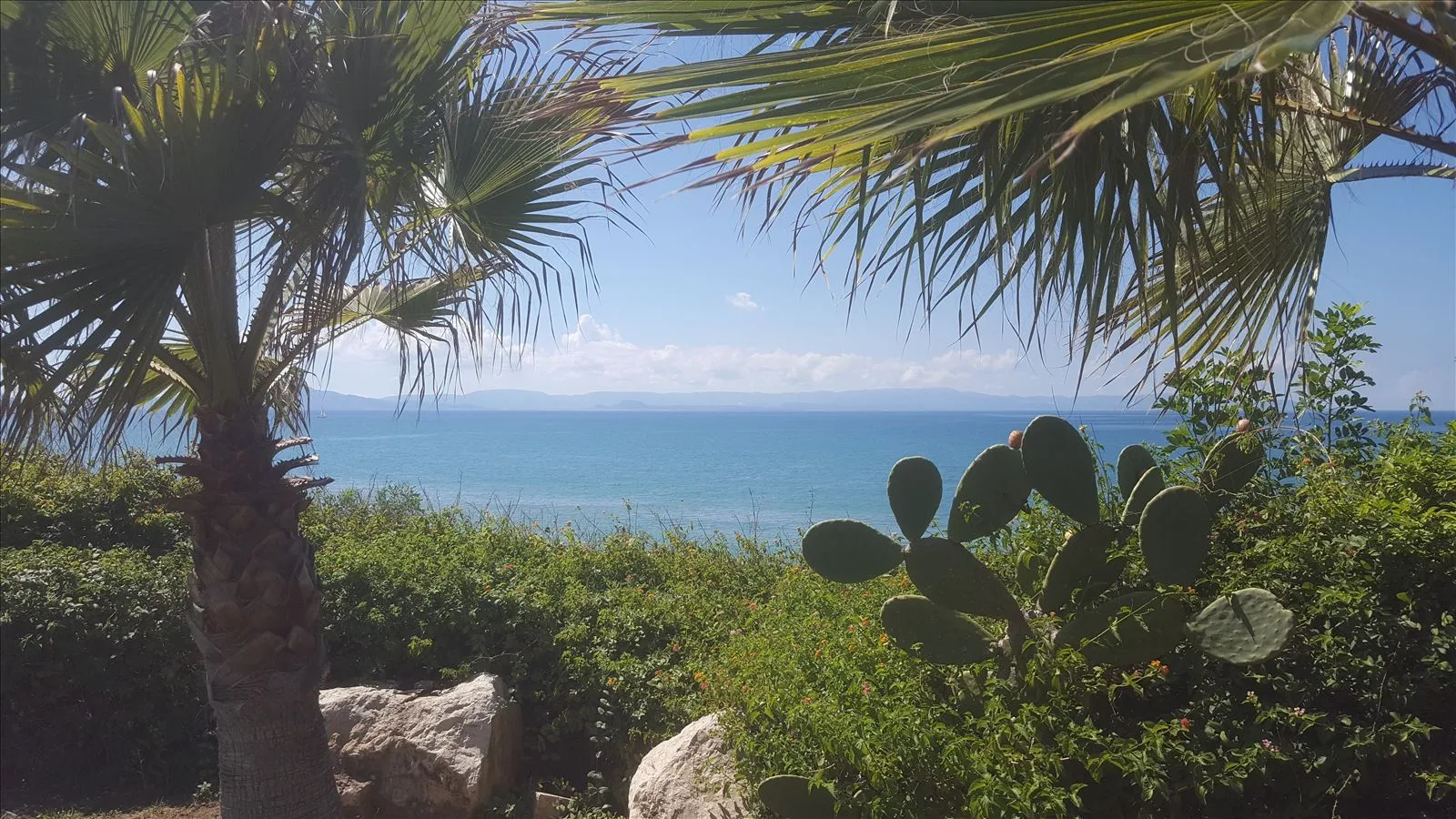 Beach with palm trees and turquoise sea in Kyllini
