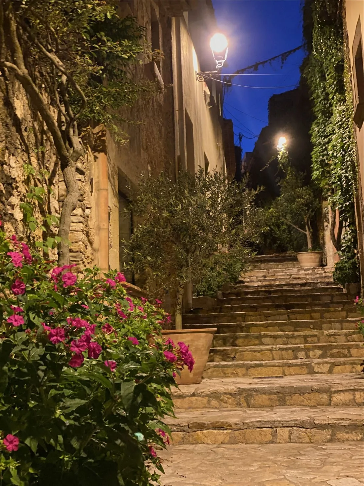 Stone staircase with flowers in Begur