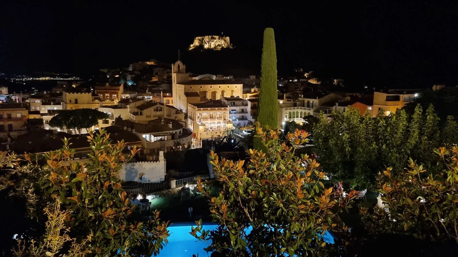 Cactus and castle tower in Begur at night