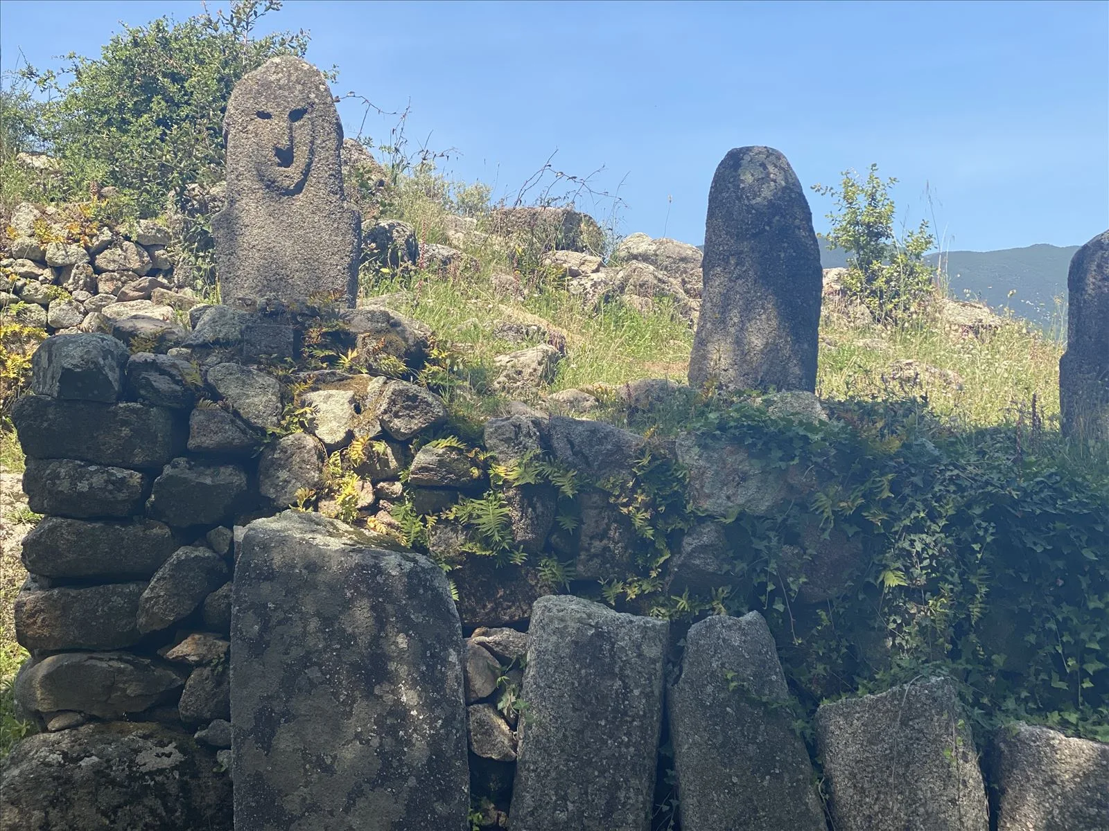 Stone megaliths among trees