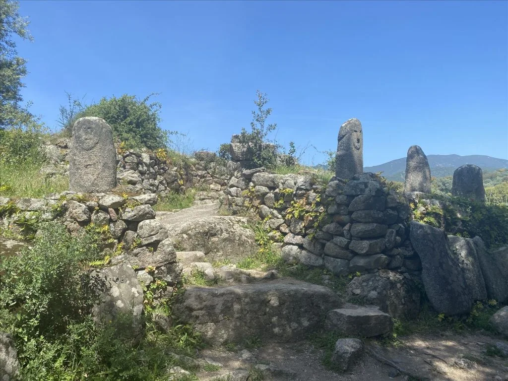 Ancient stones in bushes in Corsica