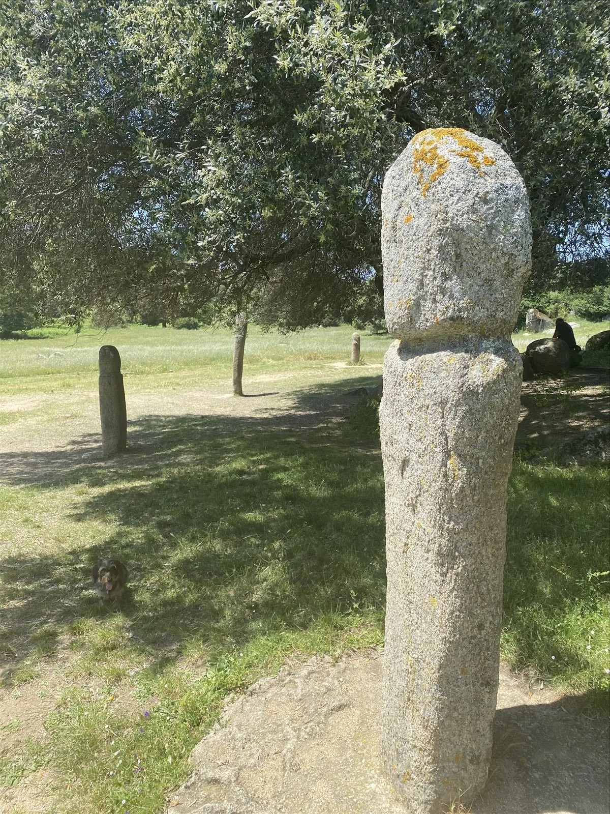 Standing megaliths in a field in Corsica