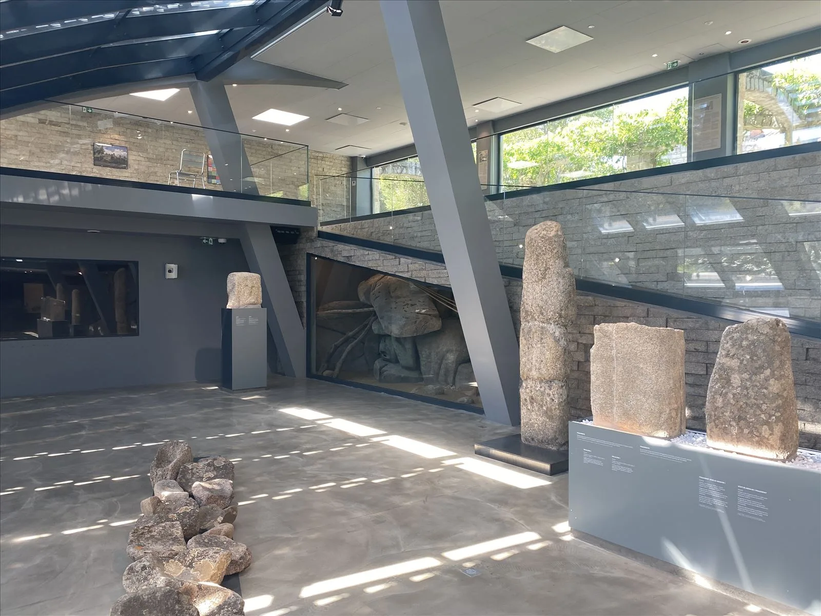 Museum with exhibits - showcase hall