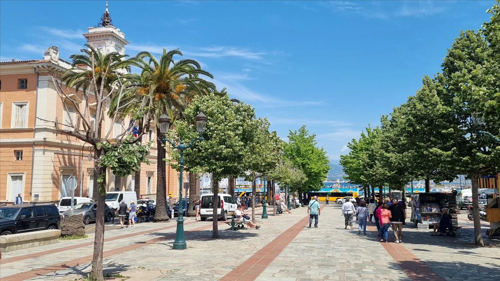 Ajaccio promenade with palms, Corsica
