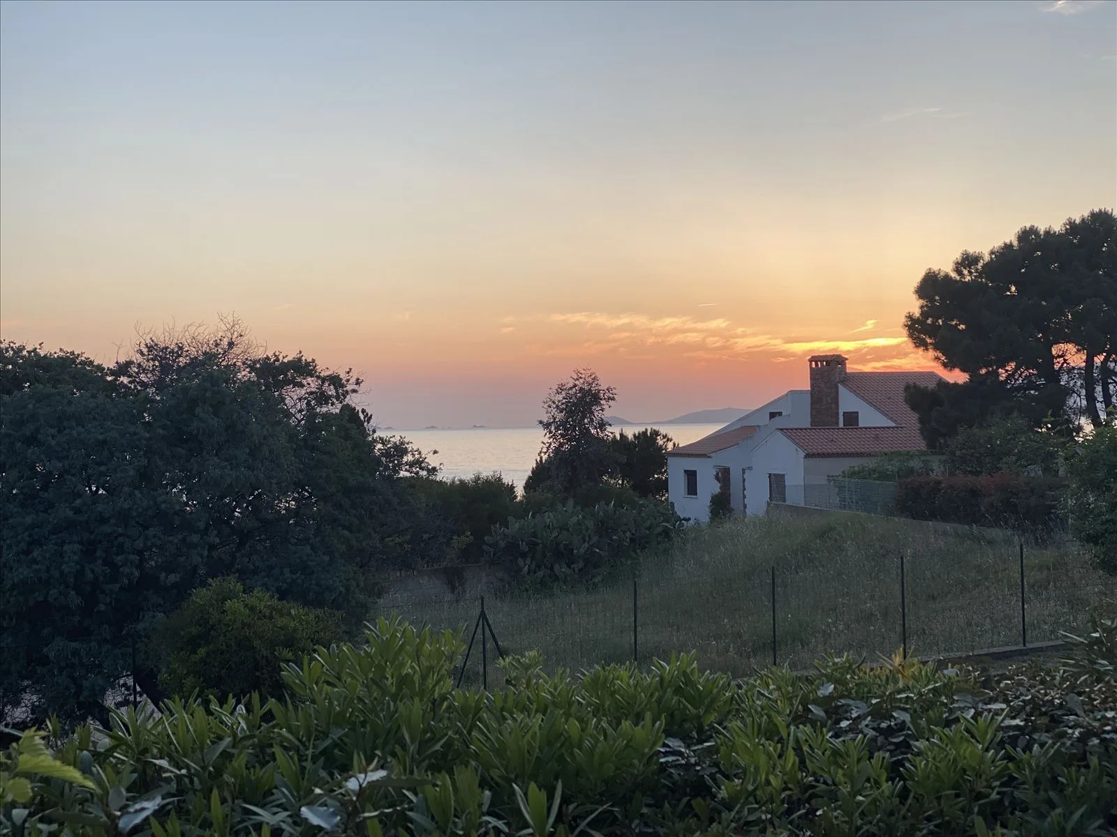 Sunset over a pine forest in Corsica