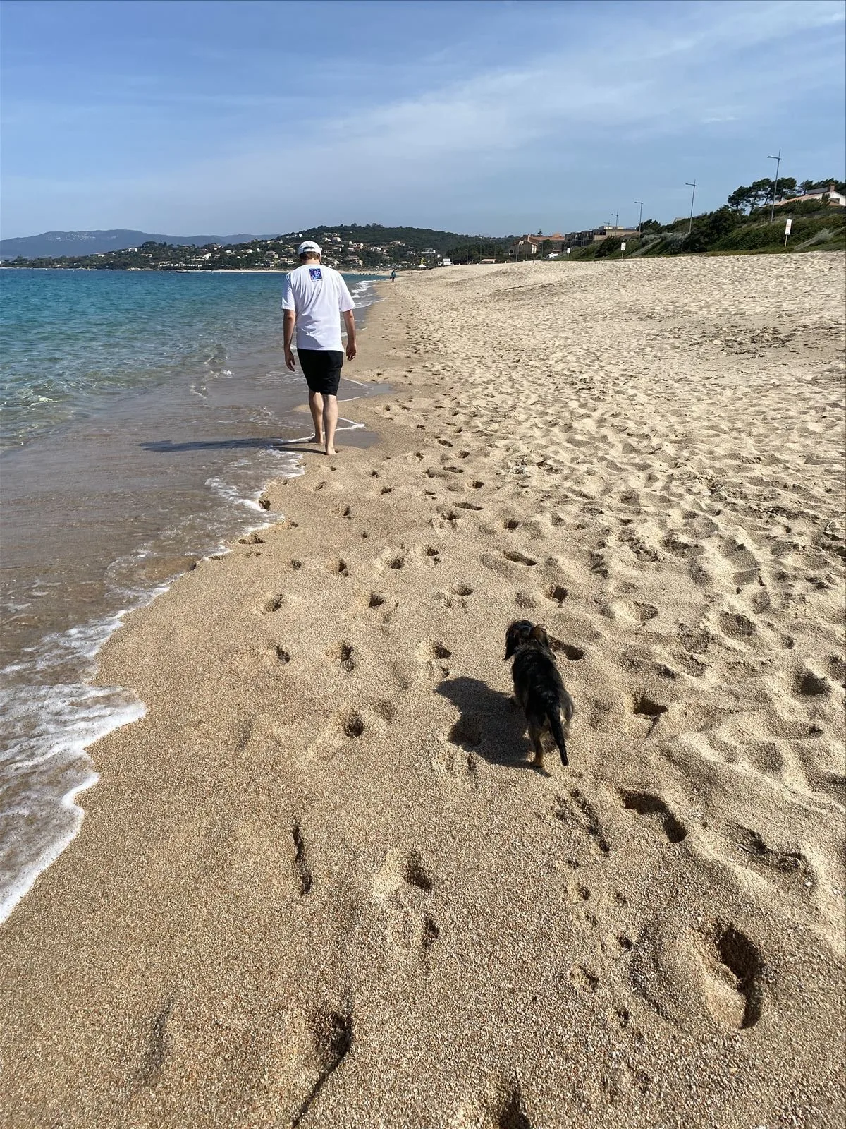 Man with dog on Ajaccio beach