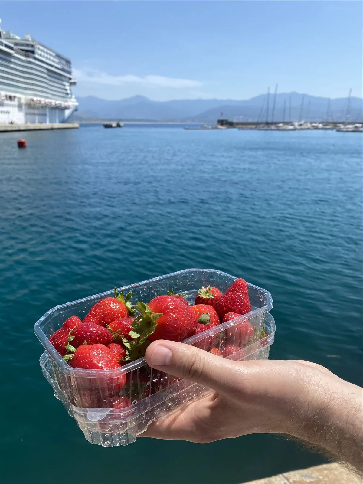 Strawberries in hands — market in Corsica