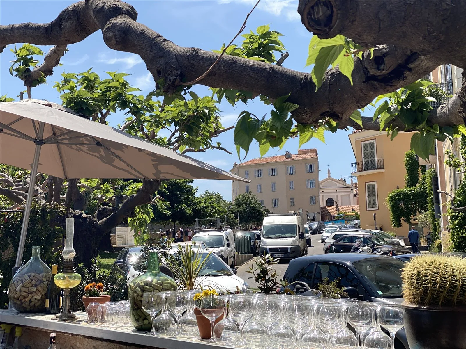 Palms and old houses at Ajaccio square