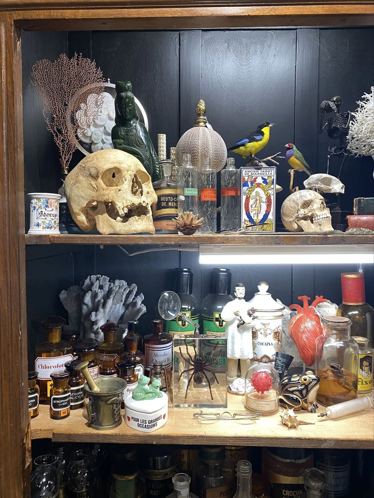 Souvenirs in a shop in Ajaccio, Corsica