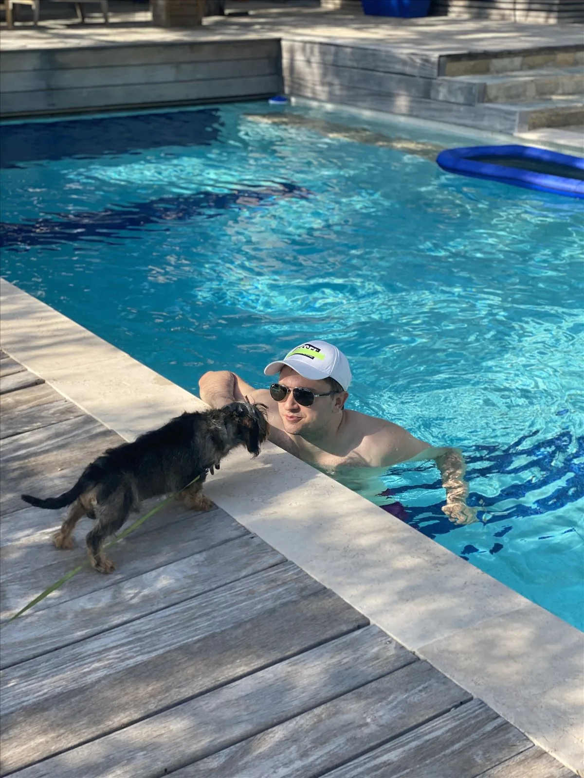 Dog diving from parapet into pool