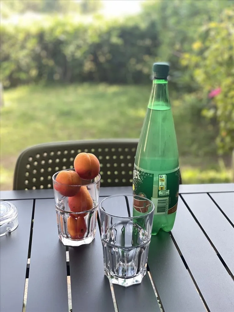 Breakfast on terrace with garden view