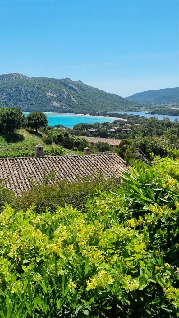 Garden with green plants in Corsica