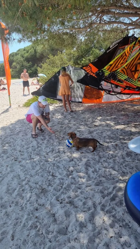 Girl playing with a dog on the beach