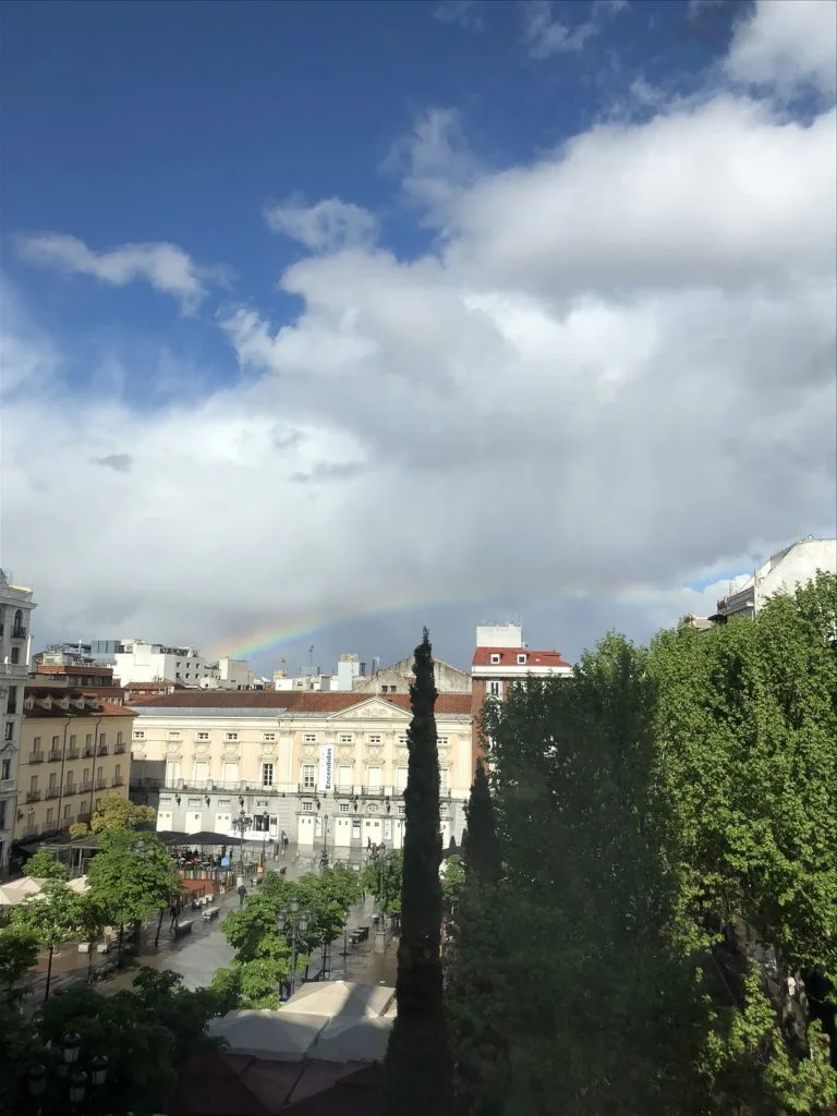 View of Madrid from the window with trees