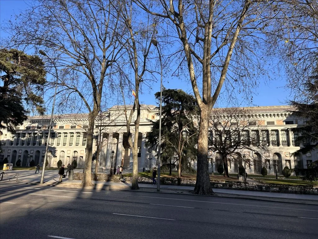 Retiro Park, tree alley in Madrid