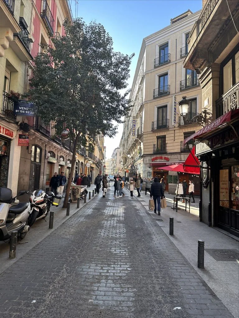 Pedestrian street in historic Madrid center
