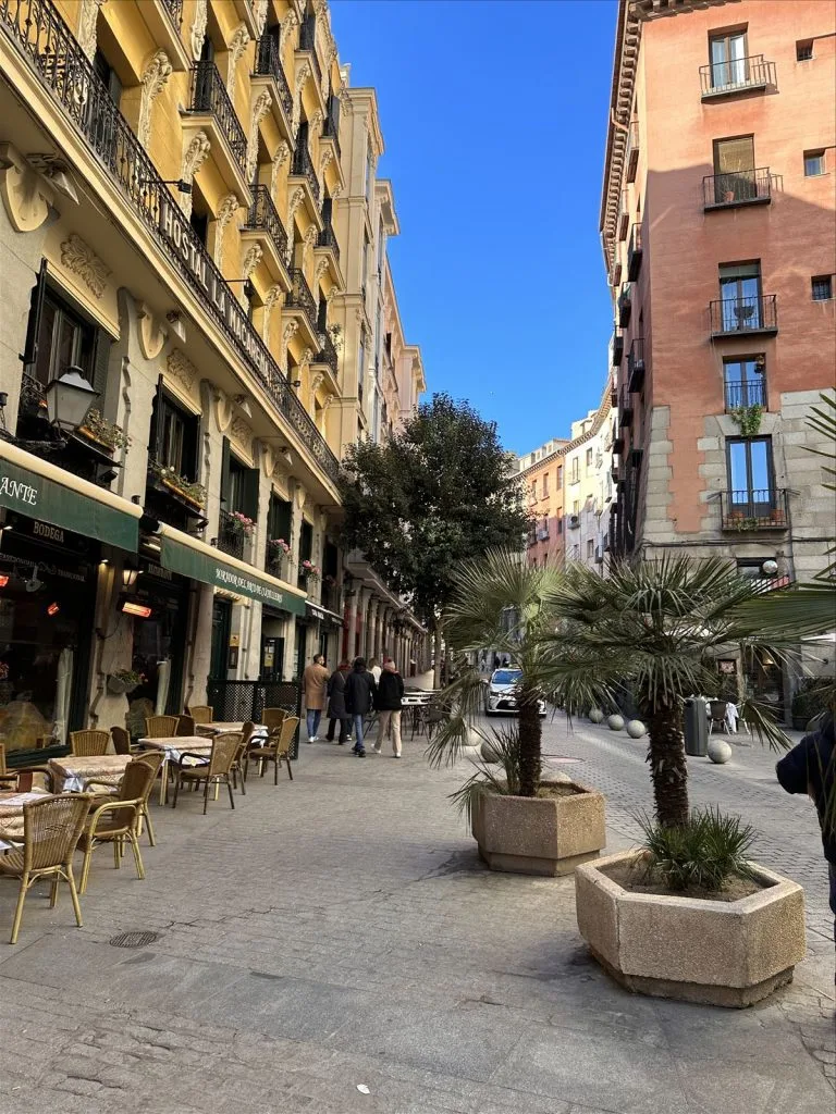 Shopping street with cafes and shops in Madrid