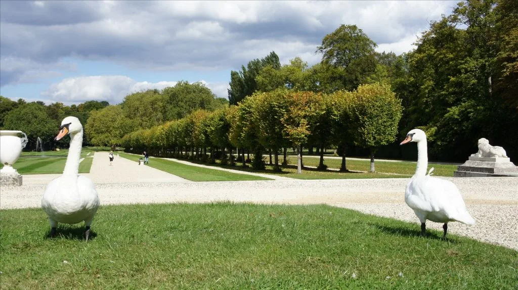 Lawns and parterres in Chantilly castle park