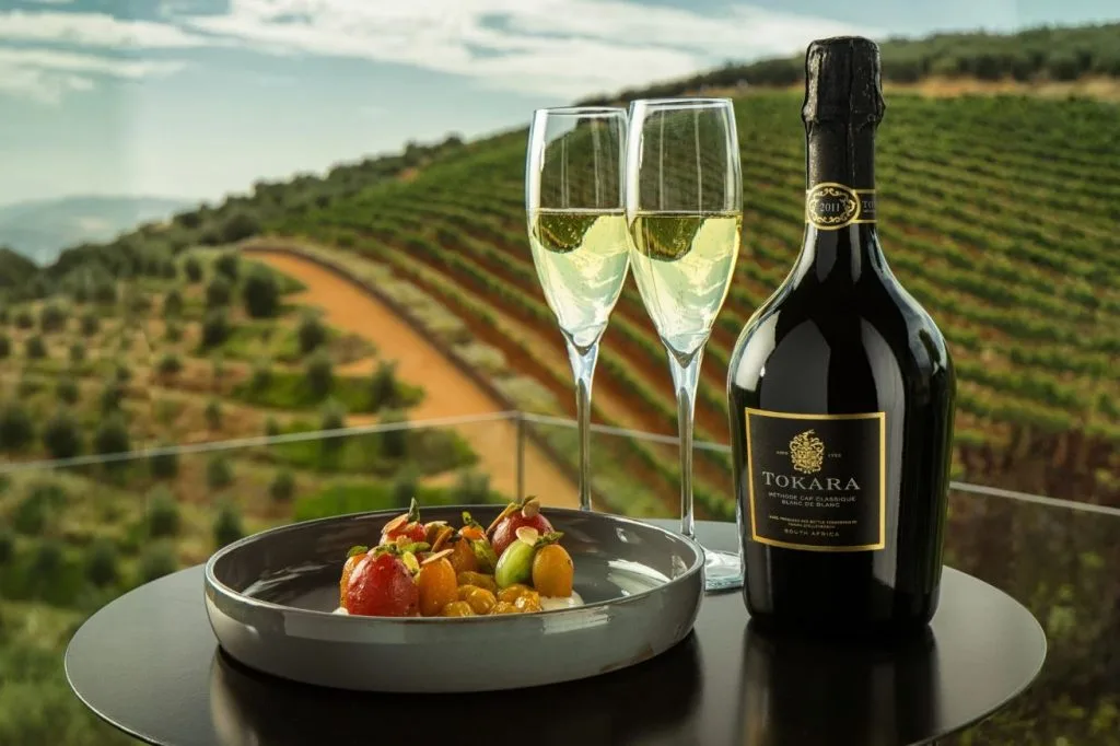 Wine tasting at Tokara winery, South Africa