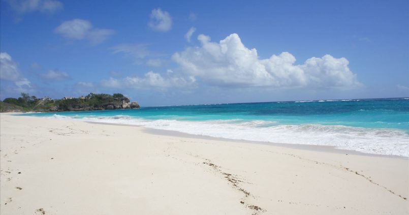 Barbados: Shark Bay